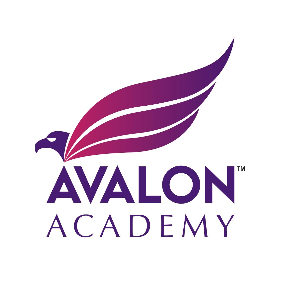 Avalon Academy Logo